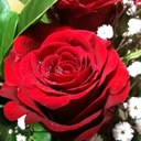 annette chan - @annettepchan - Twitter