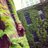 lizjohnston12's profile image