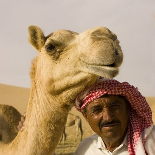 ArabsProblem's profile picture. ooo lahma!