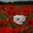 eastridingphoto's profile image