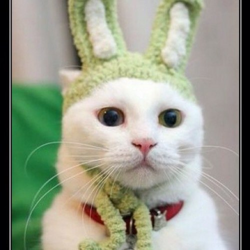 kbuckity's profile picture. ⭐⭐⭐⭐⭐