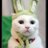 kbuckity's profile image