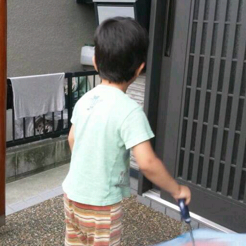 aaccc_1's profile picture. 松中/草高/辻調　フォローしてください。