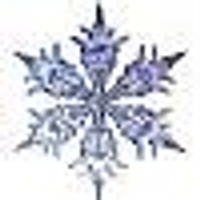 DBC Alpine Skiing (@dbcalpineskiing) 's Twitter Profile