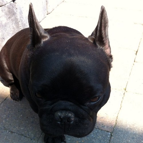 MBargerink's profile picture. 