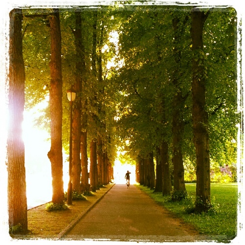 travelmywayno's profile picture. Discover the world around you, it is full of everyday beauty! Travelism from a country girl in the city!