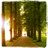 travelmywayno's profile image