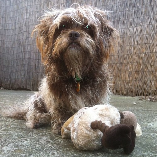 jetsprock's profile picture. 