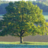 Oxygen_Healing's profile image