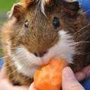 Wendy easter - @EasterWendy - Twitter