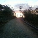 Gavilan (@5893moreno) Twitter