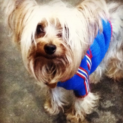 TheDogBeachGuy's profile picture. #the #dog #beach #guy
You've heard of the Seltzer Man. I'm the Dog Beach Guy.