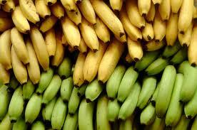 La lucha de los trabajadores bananeros ecuatorianos contra el Consorcio de Transnacionales fabricantes y usuarias del Dibromo Cloro Propano (DBCP)