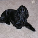 Renee Otto - @eenersapud - Twitter