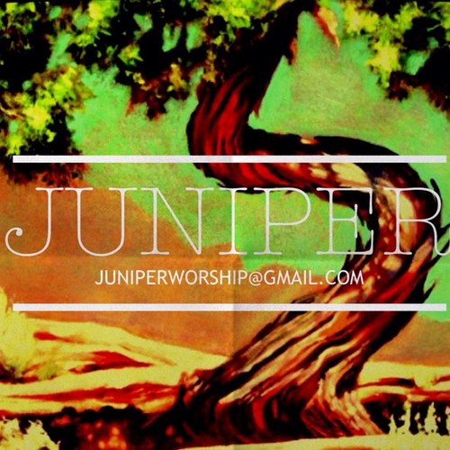 juniperworship's profile picture. 