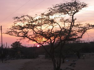 Si queremos gozar la paz, debemos velar  armas; si deponemos las armas no tendremos la paz.