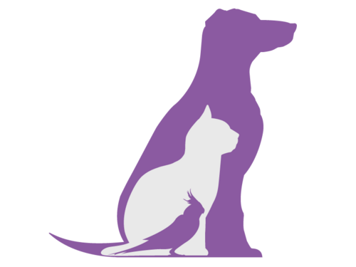 Chicago Pet Sitter And In-Home Pet Care