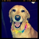 Tracy Laws Corson - @TracyCorson - Twitter