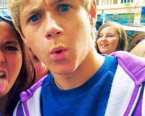 love one direction. hate BIMBEMINCHIA.