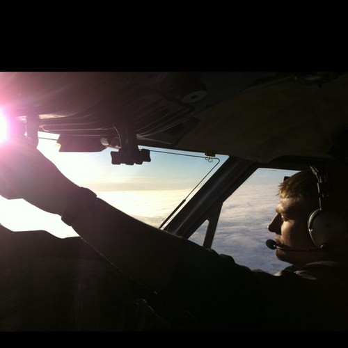 petriedish91's profile picture. 