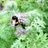 NQGrowboxes's profile image