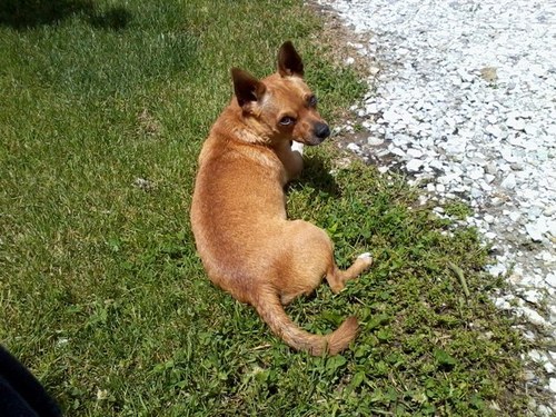 mitchpga's profile picture. 