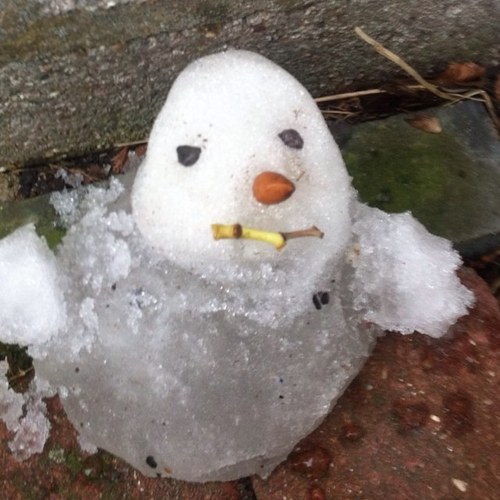 juliepenguin's profile picture. 