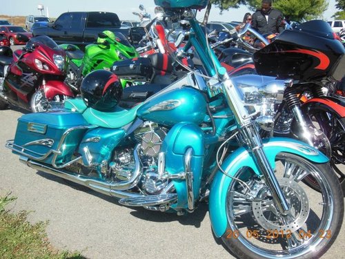 IamNoRulzNoDues's profile picture. 