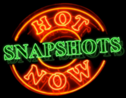 pfSenseSnapshot's profile picture. 