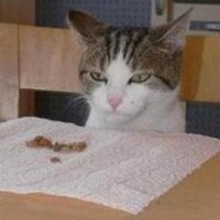 Yame Canseya (@yamecanseya) 's Twitter Profile Photo Yame Canseya (@yamecanseya) 's Twitter Profile Photo
