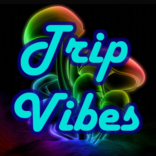 TripVibes's profile picture. Bulgarian Drum and Bass community