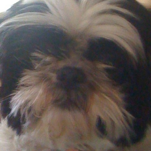 FrancisXavier81's profile picture. 