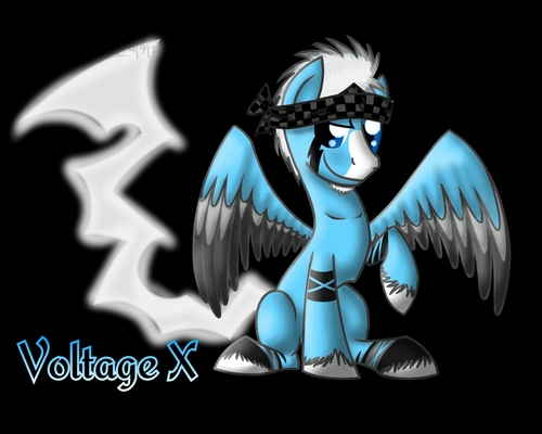 Sexy, awesome, risk taker, thrill seeker. My name is Voltage X, and I'm here to rock your world. ((RP/IRL account. Proud member of #MyLittleTwitter!))