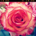 Mary Pat Hall - @marypat1970 - Twitter