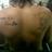 tute_redondos's profile image