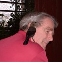 David Gurd - @davegurd - Twitter