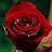 jones_valeria's profile image