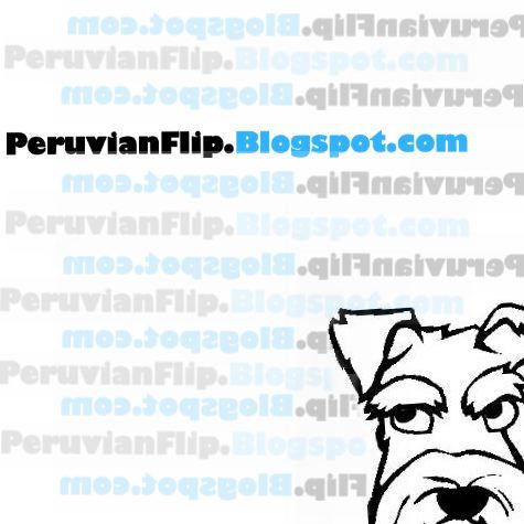 peruvianflip's profile picture. 