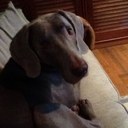 Reinaldo Paez - @Rexpaez - Twitter