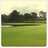 Steve Wachter - @beachngolf51 - Twitter