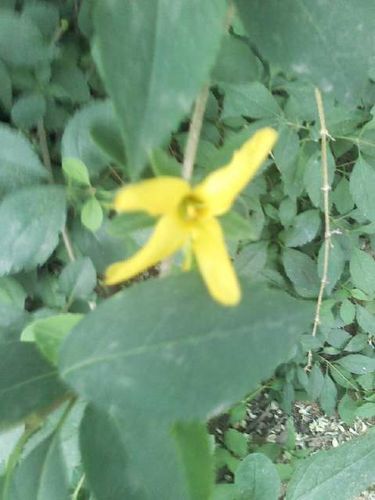 qjqwjs75's profile picture. 