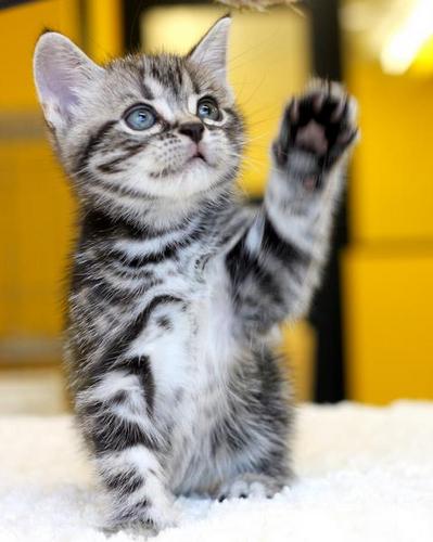 ftakako23's profile picture. 