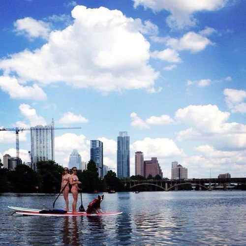 Myka_Koenen's profile picture. 