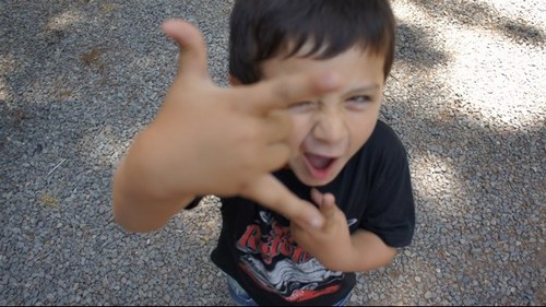 AnimaRockChile's profile picture. 