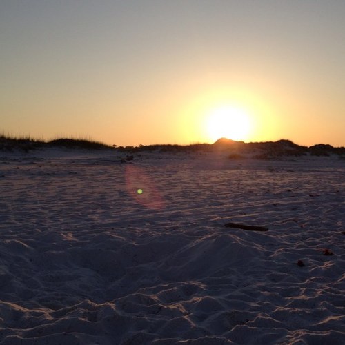 tuckmed1's profile picture. 