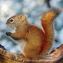 Teagan Rice - @TeaganRice - Twitter