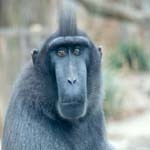 cjbrooker's profile picture. 