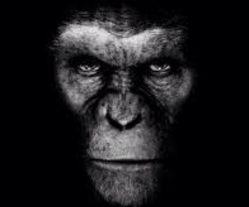 unggoyako's profile picture. Pull the trigger and the nightmare stops