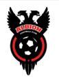 The Official Twitter account of The Albion FC in Hartlepool