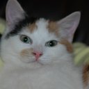 Jackie Heaton - @JaxHeaton - Twitter